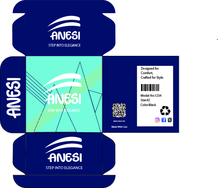 ANESI footwear packaging box design